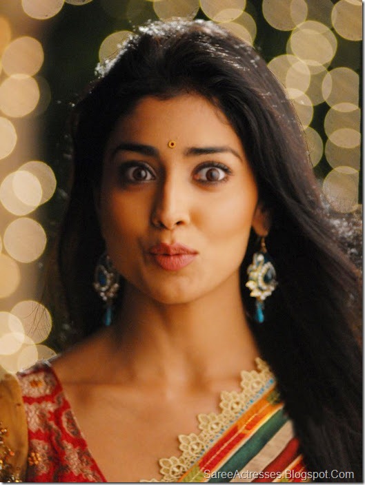 Shriya Saran Cute Saree Photos 4