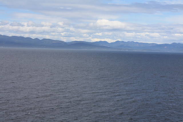 A view from the cruise ship while sailing to Alaska.