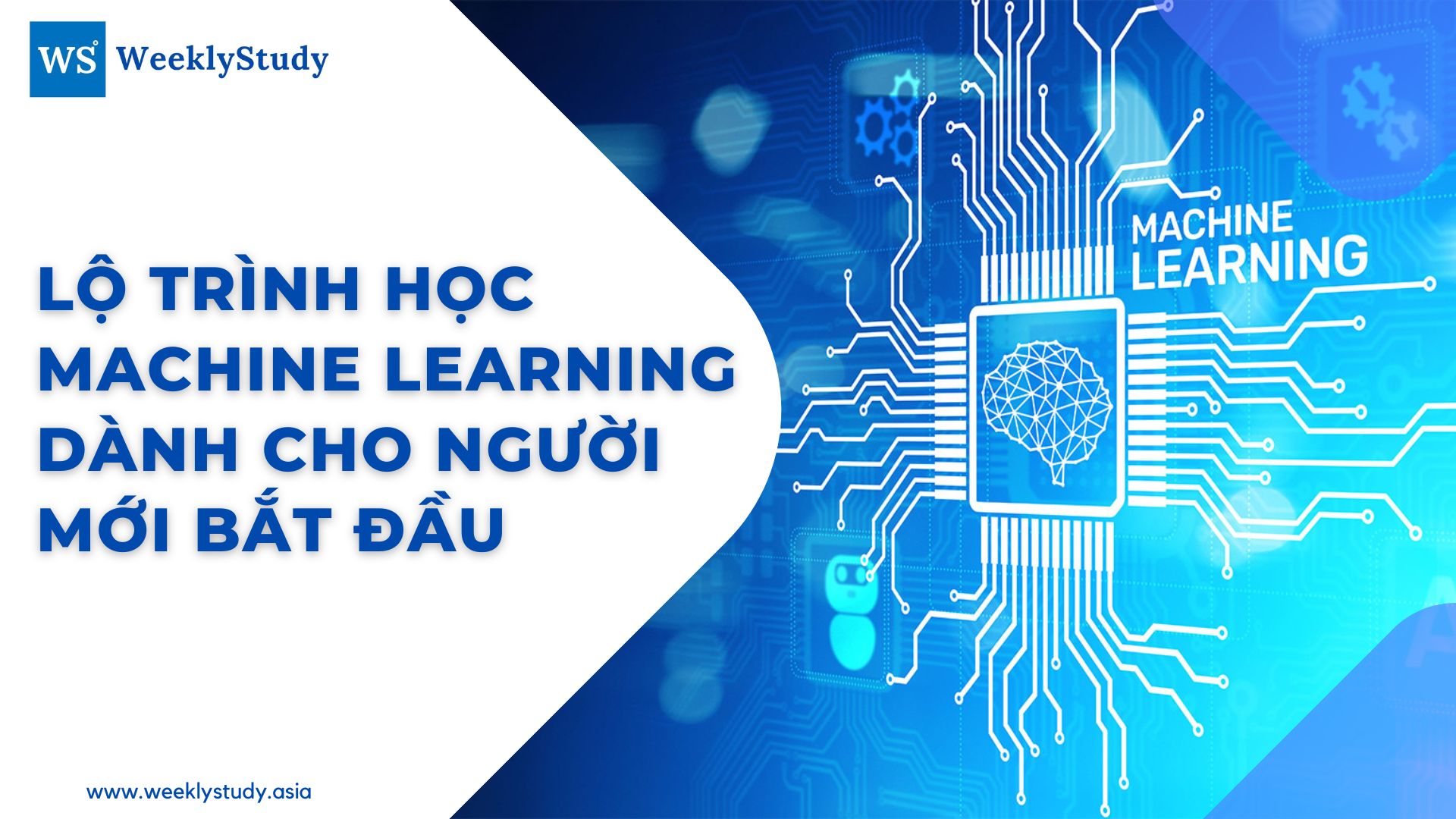 lo-trinh-hoc-machine-learning-danh-cho-nguoi-moi-bat-dau