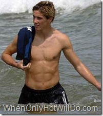 fernando torres1