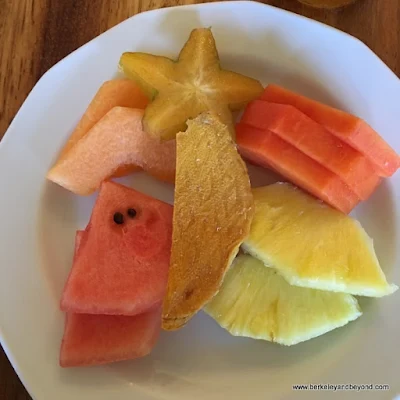 fresh fruit breakfast plate at El Delfin Restaurant at Hotel Garza Canela in San Blas, Mexico