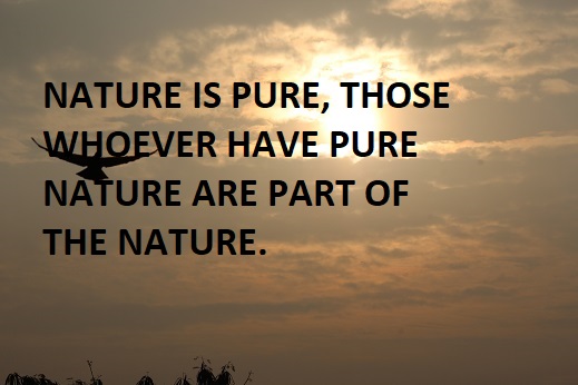 NATURE IS PURE, THOSE WHOEVER HAVE PURE NATURE ARE PART OF THE NATURE.