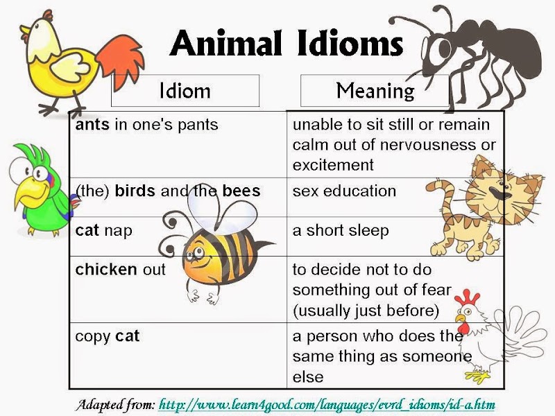 Inilah Animal Idioms