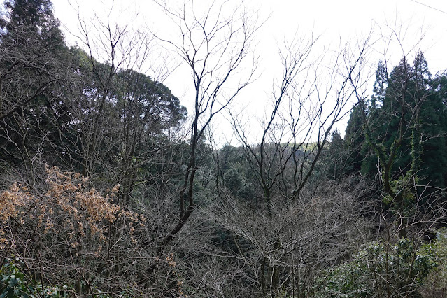 鳥取県東伯郡北栄町東高尾　坂道からの眺め