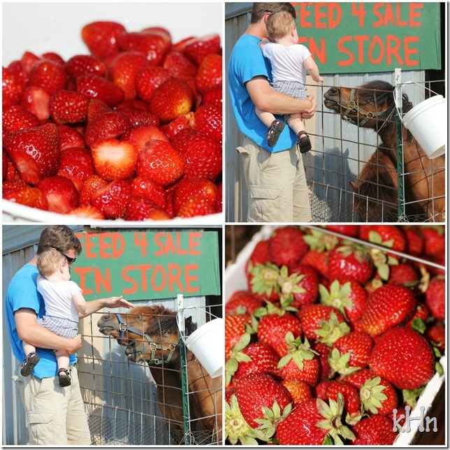 farm6
