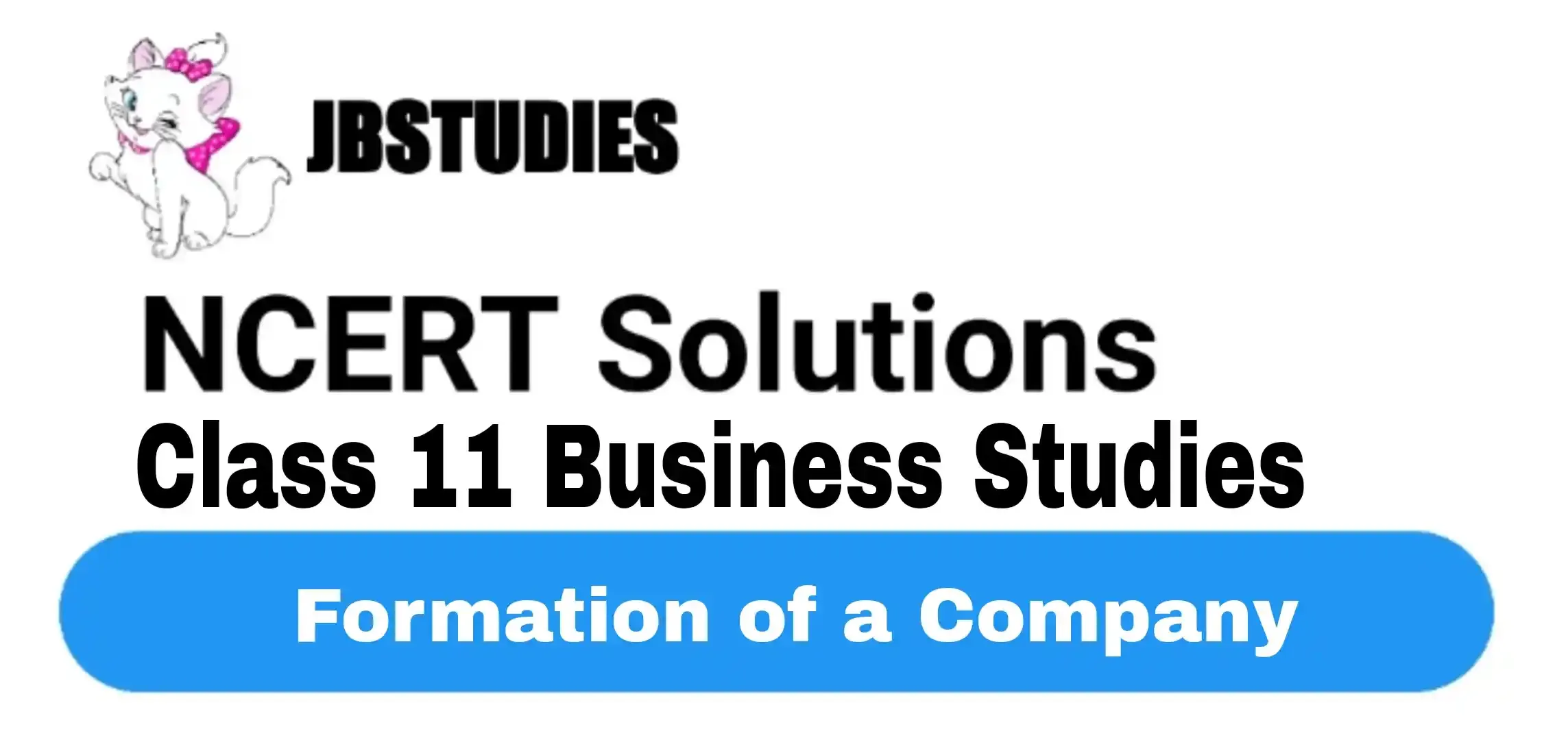 Solutions Class 11 Business Studies Chapter -7 (Formation of a Company)