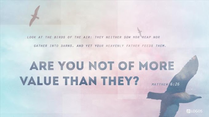 💖 HOMILY - JUNE 22 💖