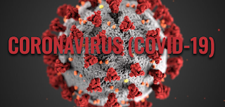  ﻿THE HORROR OF THE VIRUS IN HISTORY