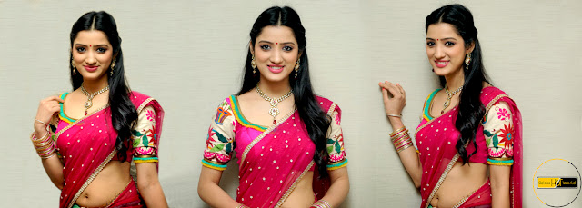 Richa Panai South Actress Hot Navel in Half Saree Photo Gallery - Celebs Hot World HQ Photos No Watermark Pics