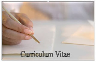 Contoh Cv (Curriculum Vitae)