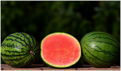 Cara menanam semangka bagi pemula