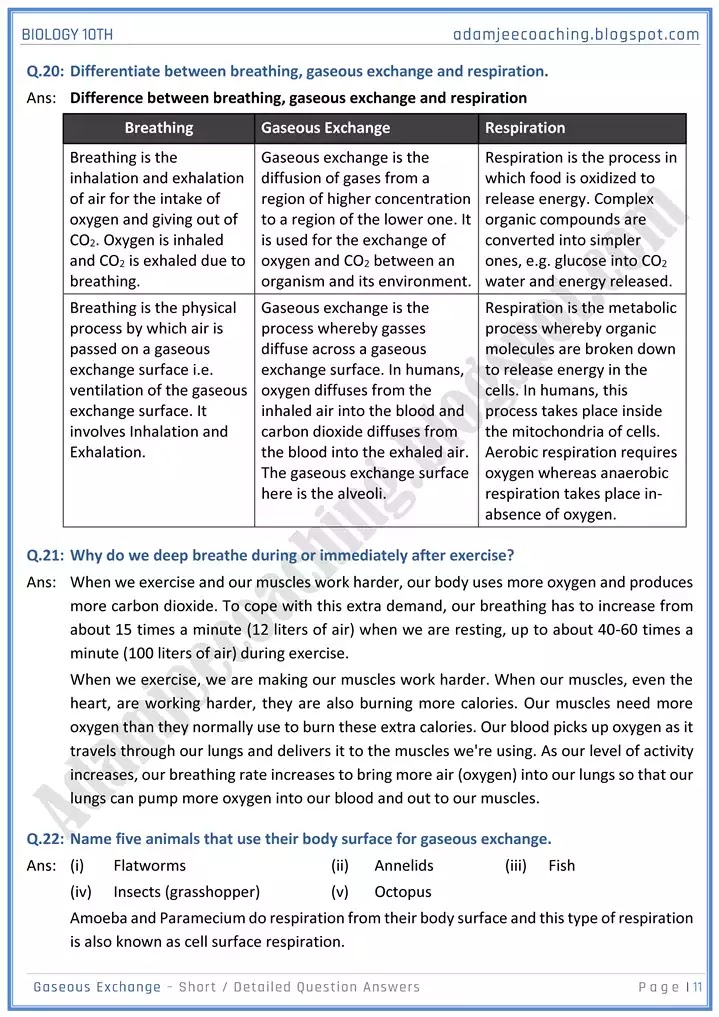 gaseous-exchange-short-and-detailed-answer-questions-biology-10th