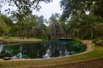 Juniper Springs on a rainy day