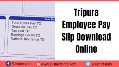 Tripura Employee Pay Slip