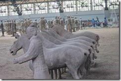 IMG_9176