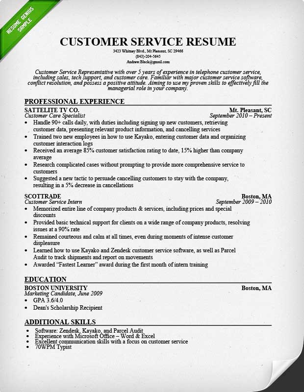 cv resume services