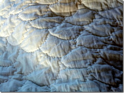 P1190265