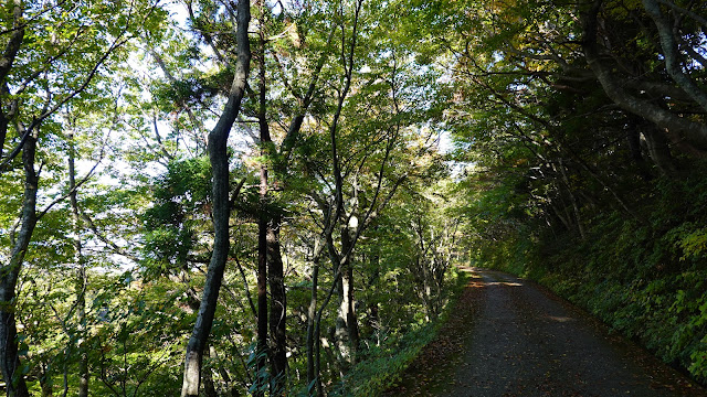 鳥取県西伯郡大山町大山 管理用道路