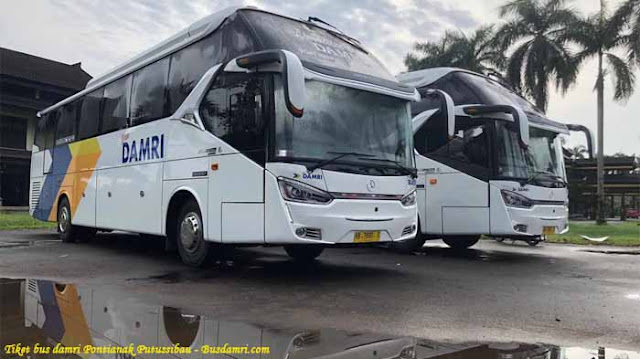 Tiket Bus Damri Pontianak Putussibau, Ini Tarif & Jadwal