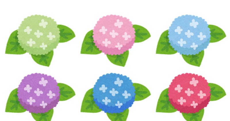 いろいろなアジサイのイラスト かわいいフリー素材集 いらすとや いろいろなアジサイのイラスト かわいいフリー素材集 いらすとや