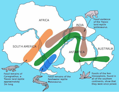 Facts About Pangaea the Most Recent Supercontinent