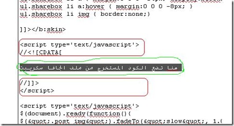javascripts