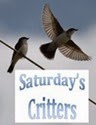 Saturday's Critters_2