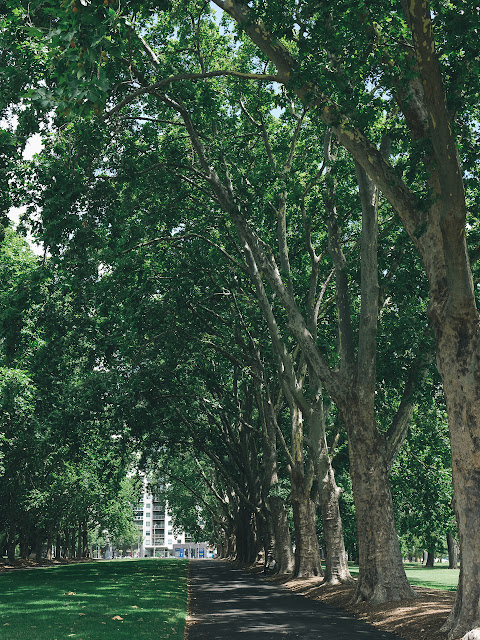 カールトン庭園（Carlton Gardens）