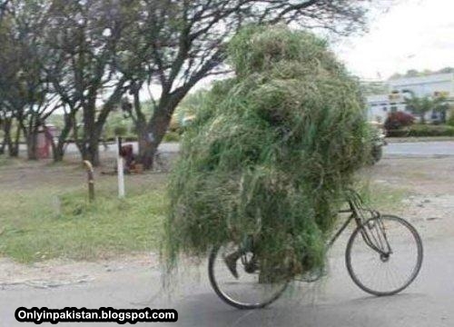 Funny Pakistani cycle rider