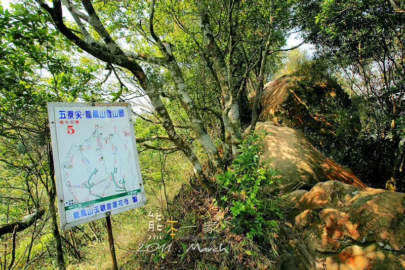 三峽五寮尖登山｜踩在腳下的山陵線｜牛背脊山線