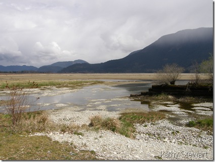 log bay
