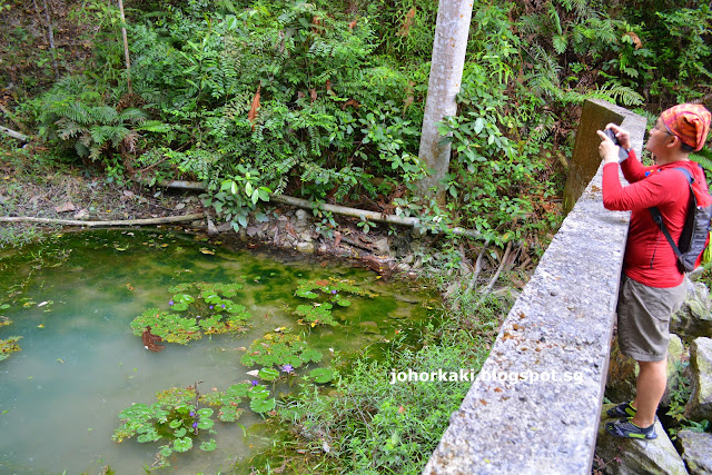 Hutan-Lipur-Gunung-Pulai-Recreational-Forest-Johor-Malaysia