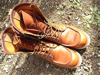 Red Wing #877