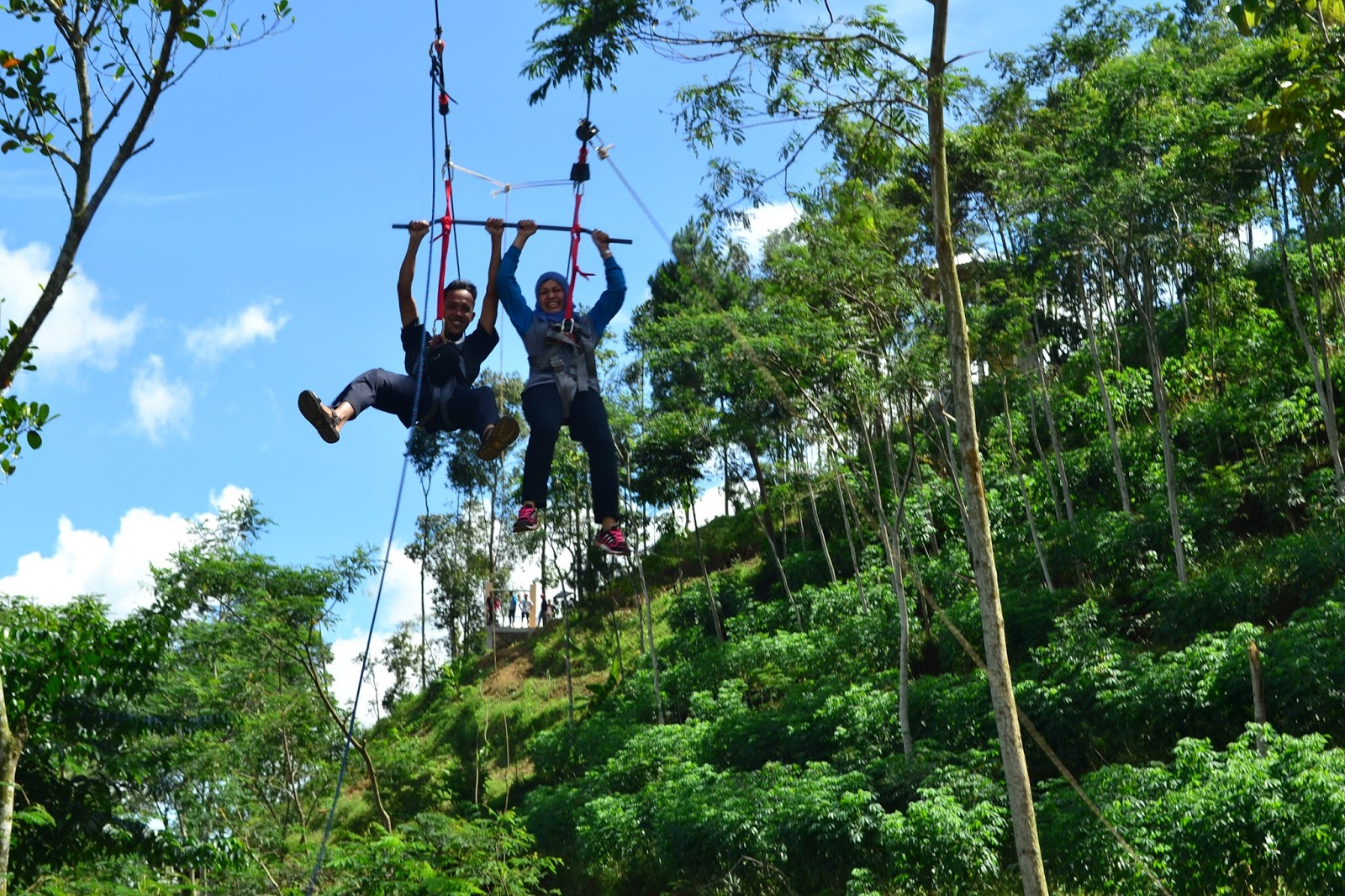 flying fox terpanjang