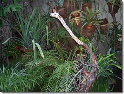 2012.09.03-007 parc Liais