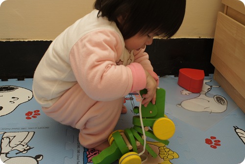 SONY DSC