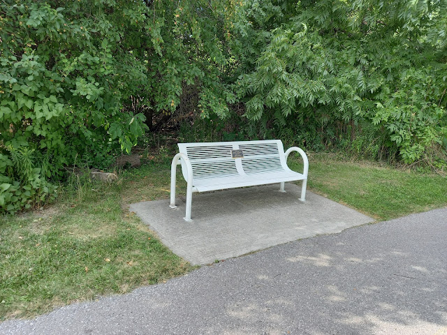 Bench on Petticoat Park Trail