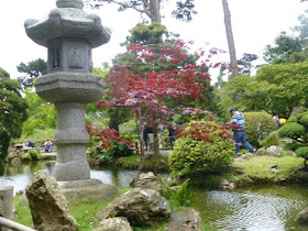 Japanese Tea Garden San Francisco