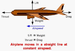 Cruise-Balanced Forces