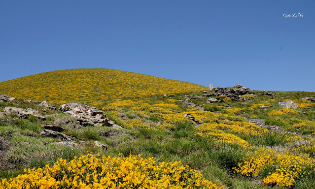 Sierra Nevada, Morrón del Mediodía, Morrón de Sanjuanero, Morrón del Hornillo