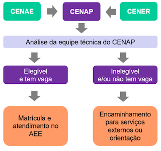 Fluxograma de encaminhamento para o CENAP