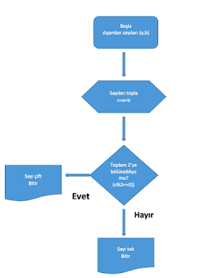 algoritma, tek mi çift mi akış şeması