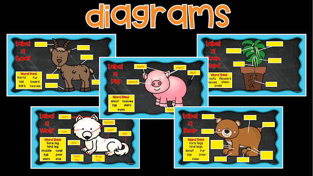 Google Slides Animal and Plant Diagrams