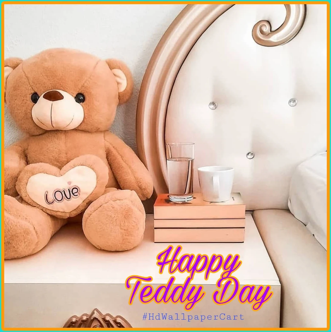 Teddy Day HD Photos