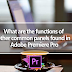 What are the functions of common panels found in Adobe Premiere Pro