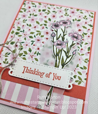 stampin up, delightfully eclectic, quiet meadow