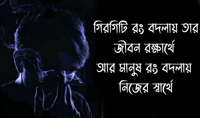  গিরগিটি রং বদলায় জীবন রক্ষার্থে  আর মানুষ তার রং বদলায় নিজের স্বার্থে 