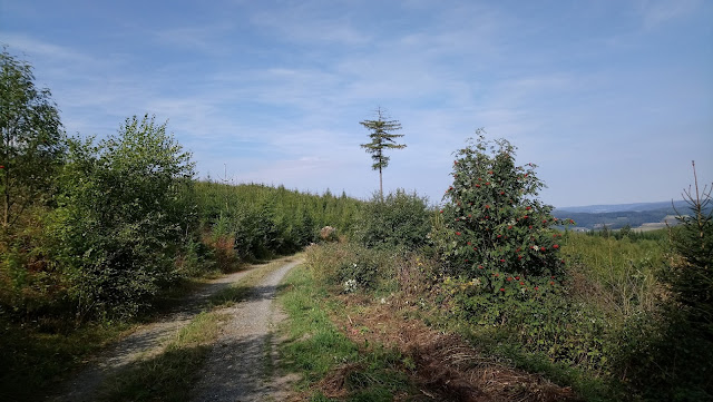 Sauerland wandern Wetter blog Meschede Homert