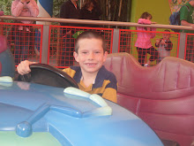 Bumper Cars