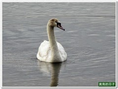 20140402_061000_023_ShanZhong_Lake